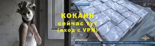 твердый Лагань