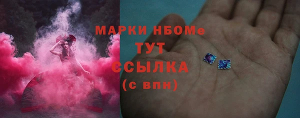 твердый Лагань