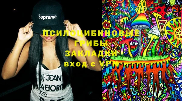 PSILOCYBIN Лихославль
