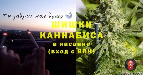 PSILOCYBIN Лихославль