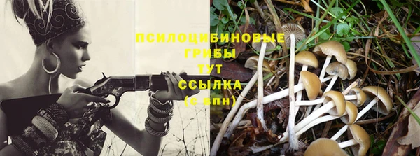 бошки Лабытнанги
