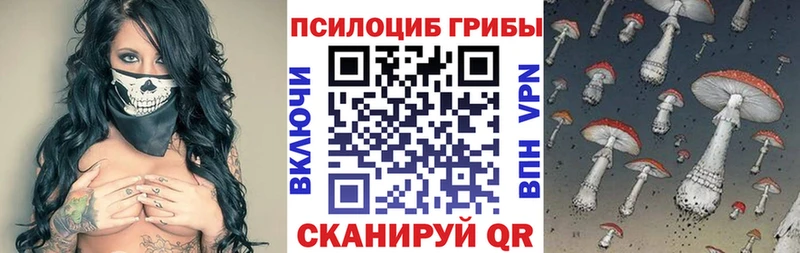Псилоцибиновые грибы мицелий  mega маркетплейс  Нижнеудинск  наркошоп 