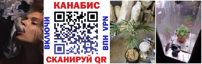 Каннабис ГИДРОПОН  купить наркотики цена  Нижнеудинск 
